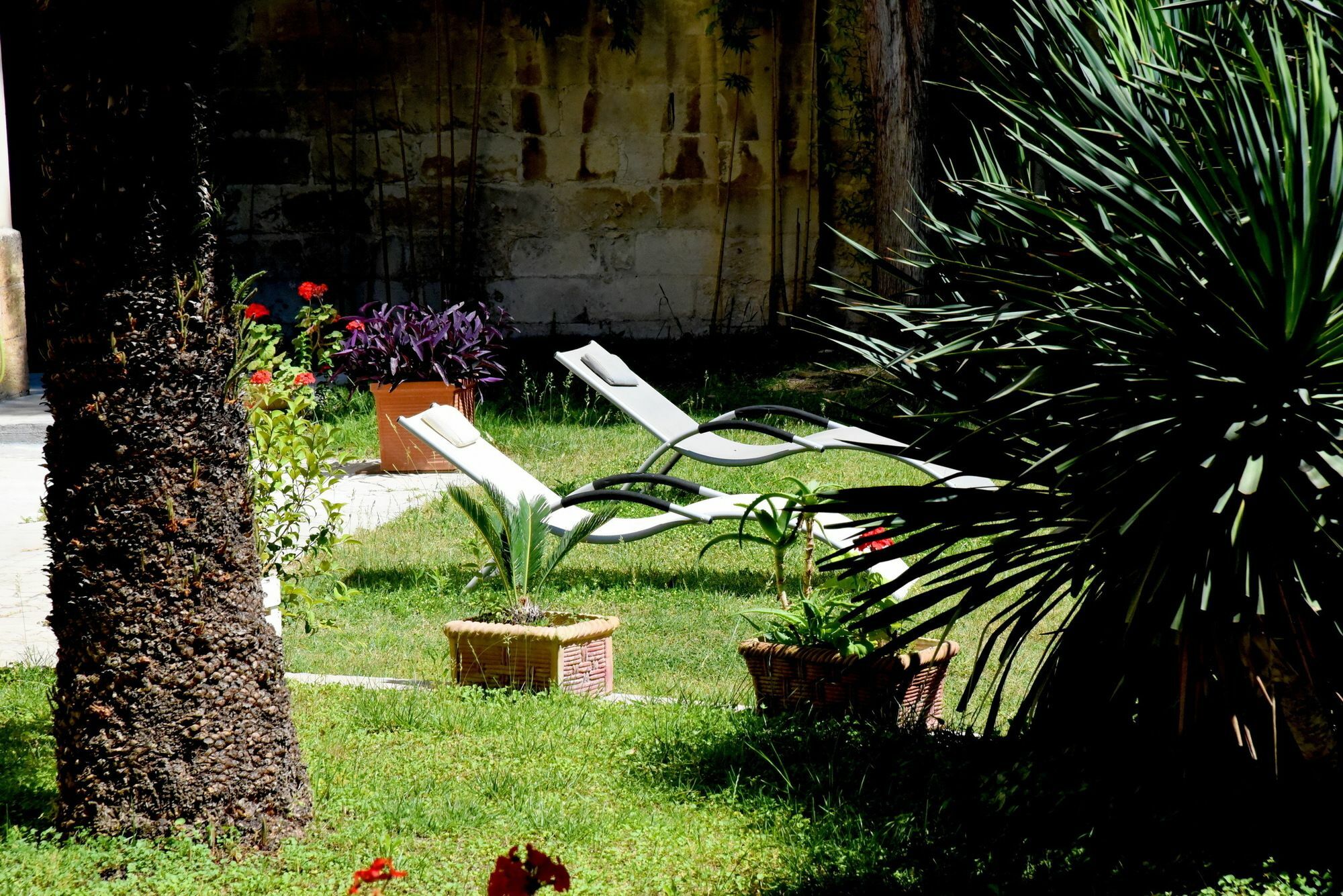 Aedes B&B Il Giardino Dei Sogni Lecce Zewnętrze zdjęcie
